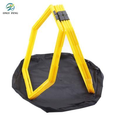 China Body Agility Wholesale Speed ​​Ladder Adjustable Belt pp Exercise Equipment Hexagon Agility Ladders for sale