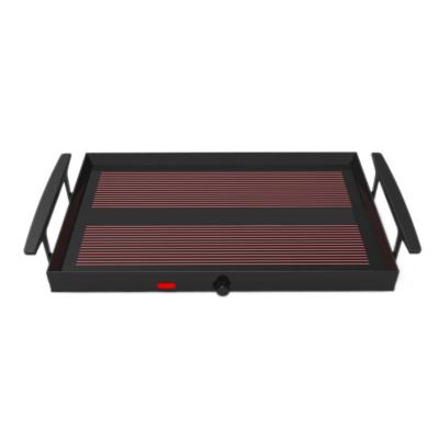 China Hot Dish Tray For Shabbat Portable Hot Electric Food Heater High Quality Outdoor for sale