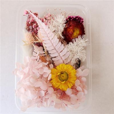 China DIY decoration for nail art candles and greeting cards immortal dry flowers mixed floral products scattered candle aromatherapy package diy festival activities materials for sale