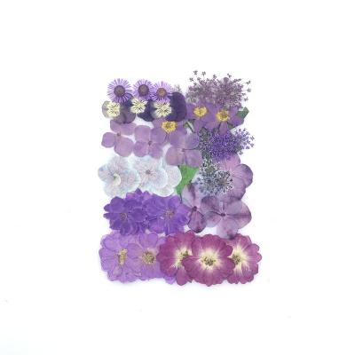 China New Touch Products Natural Mixed Bundle Pressed Flower DIY Mixed Dried Flowers Hardware Bundle Pressed Flowers Embossed Plant Specimens As Deco for sale