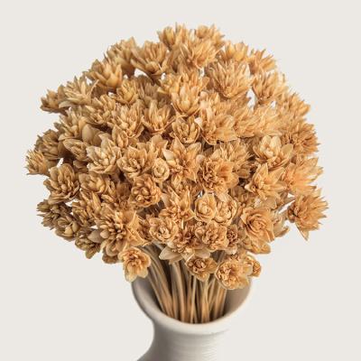 China 2020 natural touch wholesale dried flower preserved small flower mountain flower for home decoration for sale