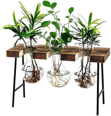 China Mini Planter Desktop Minimalist Glass Bulb Greenhouse Plant Air Glass Vase With Wooden Stand for sale