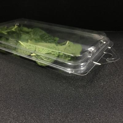 China Disposable Clamshell Biodegradable Plastic Transparent Blister Fresh Herbs Packaging Box for sale