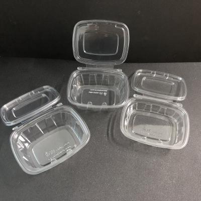 China Hot Sale Wholesale Disposable Disposable Rectangle Plastic Sealed Transparent Storage Box-8OZ for sale