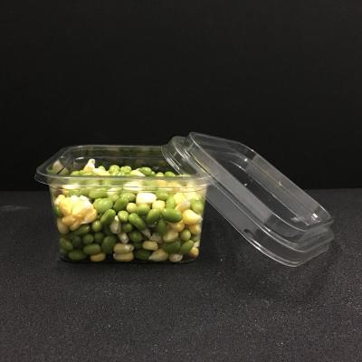 China Disposable Wholesale Plastic Take Away Square Plastic Fruit Salad Box Fruit Salad Container Salad Tray Box for sale