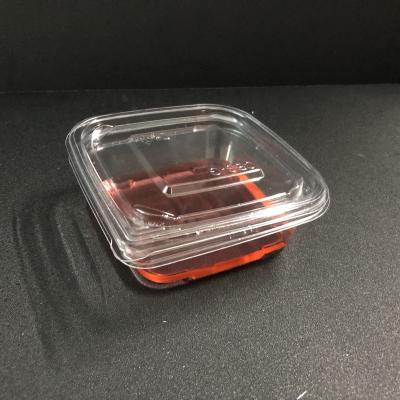 China Disposable Food Storage Containers Seal Fresh Fruit Plastic Container With Lid for sale