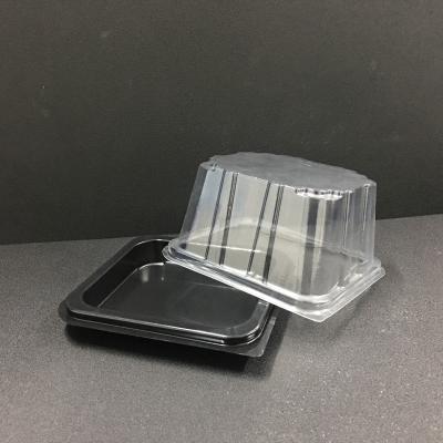 China Disposable Clear Disposable Cake Packaging Box Plastic Containers for sale