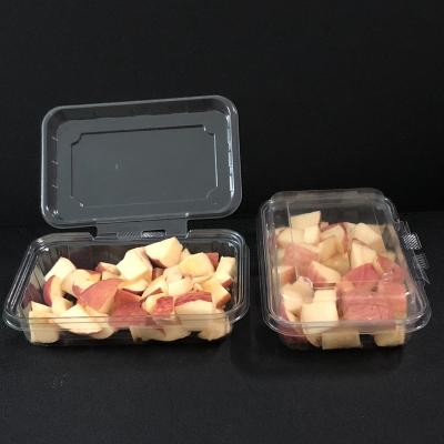 China Easy Disposable Green Transparent Disposable Clear Fruit Packing Biodegradable Plastic Salad Boxes for sale