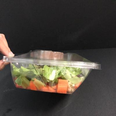 China Disposable Disposable Clear Blister Plastic Salad Containers For Take Out Boxes UFO for sale