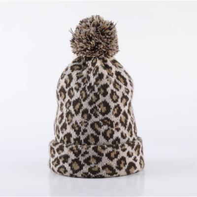 China COMMON Autumn And Winter Leopard Pattern 2021 Pom Pom Beanie Women warm knit fashion hat for sale