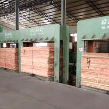 Verified China supplier - Linyi Yalun Wood Co., Ltd.