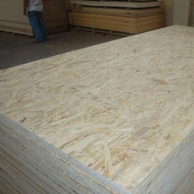 China Linyi OSB Board Factory Outdoor Cheap OSB Board For Sale for sale