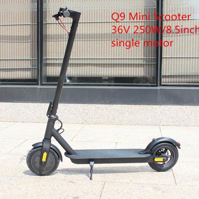 China FLJ Unisex Mini Scooter 36V 250W Single Motor Electric Scooter 25km/h Speed ​​Portable Electric Bike For Adult for sale