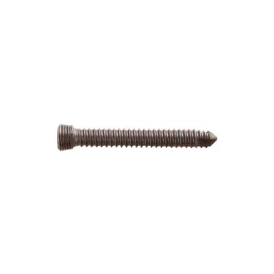 China Implant Locking Screw Titanium Orthopedic (Self-Tapping) Bone Screw for sale