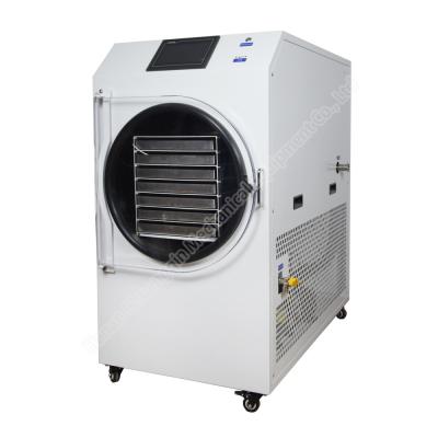 China Freeze dryer freeze dryer machine for food commercial freeze dryer freeze dryer machine for sale