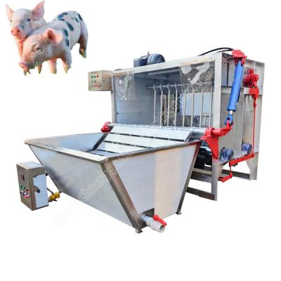 China pig dehairer and scalding machine pig dehairing machine pig hair dehairer for sale