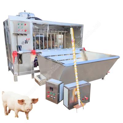 China pig slaughter equipment pig processing equipment pig hair cleaning machine for sale