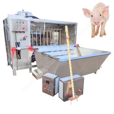 China pig processing equipment slaughter equipment pig pig hair removal machine for sale