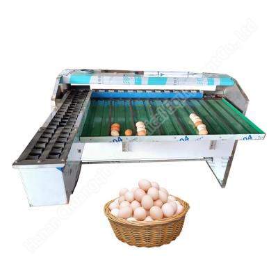 China Egg Grade Machine Egg Sort Machine Egg Grader Egg Grader Machine for sale