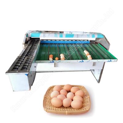 China Egg Size Sort Machine Egg Sorter Machine Egg Sorter Egg Classify Machine for sale