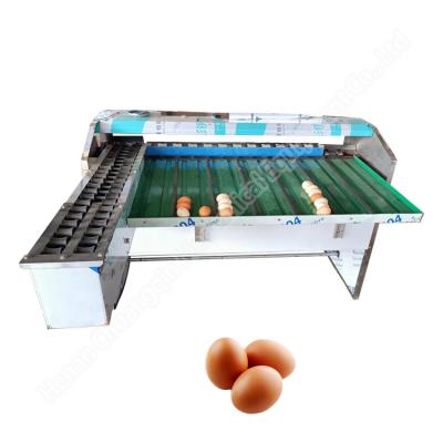 China Egg Size Sorting Machine Egg Sorter Machine Automatic Egg Grading Machine for sale