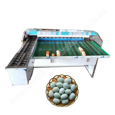 China Egg Grader Sorter Egg Weighing Grading Machine Chicken Duck Egg Grading Sorting Machine for sale