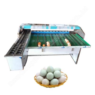 China Duck Egg Sorting Machine Egg Weight Grader Egg Grading And Cleaning Machine for sale