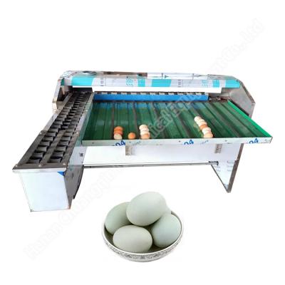 China Chicken Egg Grader Egg Grading Machine Egg Grader Farm Use	 Egg Sorting Machine for sale