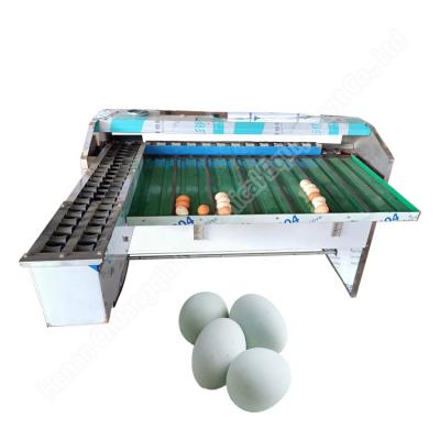 China Automatic Egg Grader Machine Egg Grading Machine Sorter Egg Weight Sorter Production Line for sale