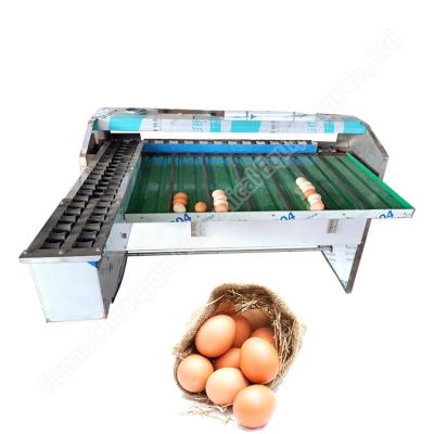 China Stainless Steel Egg Sorting And Grading Machine Automatic Egg Sorter Egg Sorting Grading Machine for sale