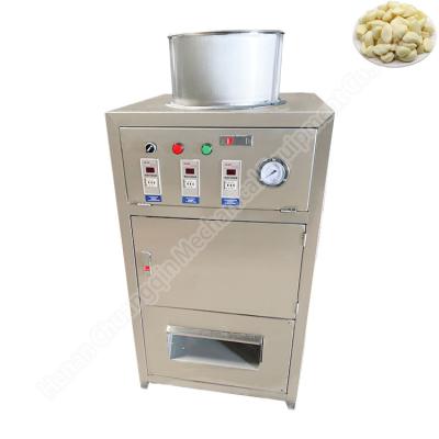 China Dry Fully Automatic Garlic Peeling Machine Industrial Garlic Peel Off Machine 30kg/H 200W for sale