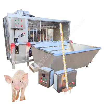 China Machine To Remove Pig Hair Pig Hair Shaving Machine Pig Scalding Machine for sale