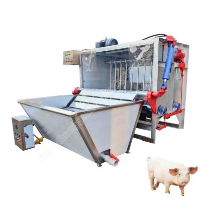 China Pig Hair Removal Depilator Plucking Machine Pigskin Degreasing Machine Pig Slaughter Machine for sale