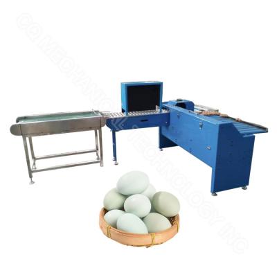 China 304 Stainless Steel Chicken Egg Grading Machine Price By Weight Egg Weight Classify Sorter for sale