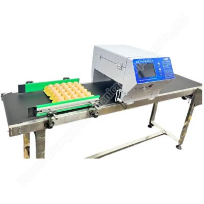 China Egg Inkjet Printer Domino Inkjet Printer For Eggs 40000eggs/H for sale