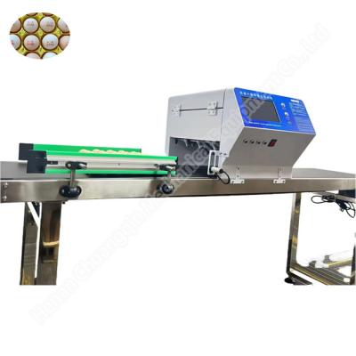 China Tray Pad Egg Carton Printing Machine Date Egg Printer Machine 45000 Eggs/H for sale