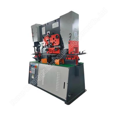 China Cnc Punch And Shear Machines Ironworker Iron Worker Hydraulic Punch And Shear 220V/380V for sale