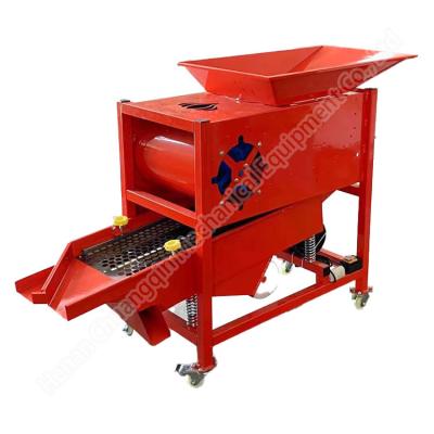 China Farm Garlic Grading Splitting Equipment Commercial Garlic Grader Machine Garlic Separating And Screening Machine Vertical Garlic Separator Machine for sale