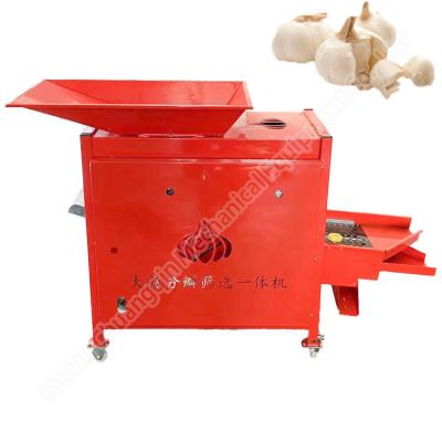 China Garlic Processing Machine Dried Garlic Separator Garlic Vibrating Screening Machine Garlic Five-Stage Sorting Equipment for sale