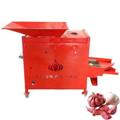 China Garlic Processing Equipment For Sale Garlic Seed Splitting Machine Garlic Four-Stage Grading Equipment for sale