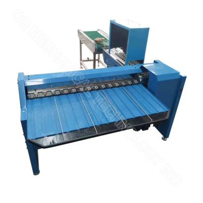 China Egg Grade Machine By Weight Egg Weight Classify Sorter Egg Weight Grader Egg Size Classifier for sale