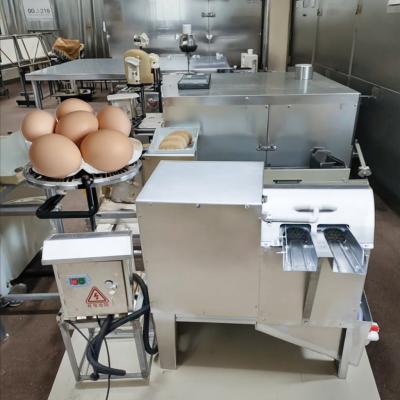 China Steel Type Chicken Cleaner Washing Machine Duck Egg Brush Washer for sale