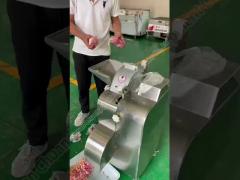 Meat Cube Cutting Dicing Machine Apple Dicing Machine Mango Dicing Machine