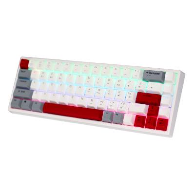 China Anti-ghosting Keyboard 68 Keys PC Computer USB Gaming Wired RGB LED Light Gamer Mechanical Keyboard for sale