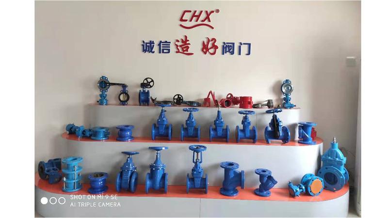 Verified China supplier - Longyao Chengxin Valve Co., Ltd.