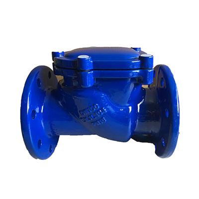 China BS ANSI DIN GGG50 General Double Check Valve Resilient Seat Flange Type Swing Check Valve for sale