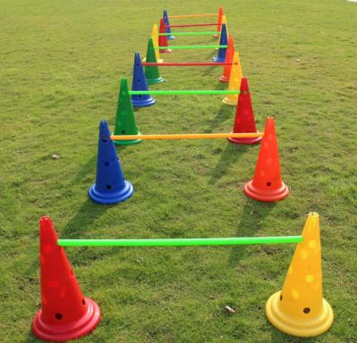 China PE 50cm Dog Agility Training Cones Kit Pet Agility Training Kit (6 Cones 6 Poles) for sale