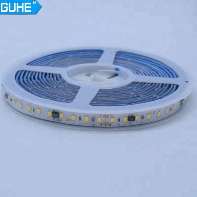 China LANDSCAPE LANDSCAPE Led Strip 5M Roll Light Waterproof Led Strip 10m SMD2835 Flexible Led Strip Light DC 12V For Dry Location for sale