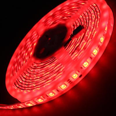 China Theme Park Theme Park LED Lighting 5050 RGB LED Strip 12v 60leds/m 5m 300leds RGB 5050 smd led strip light for home decoration for sale