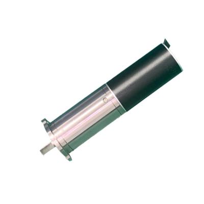 China Garment Shops 24mm DC Planetary Gear Motor With Customized Shaft 24V for sale